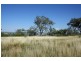 Tenterfield NSW 2372