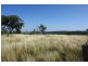 Tenterfield NSW 2372