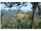 Tenterfield NSW 2372
