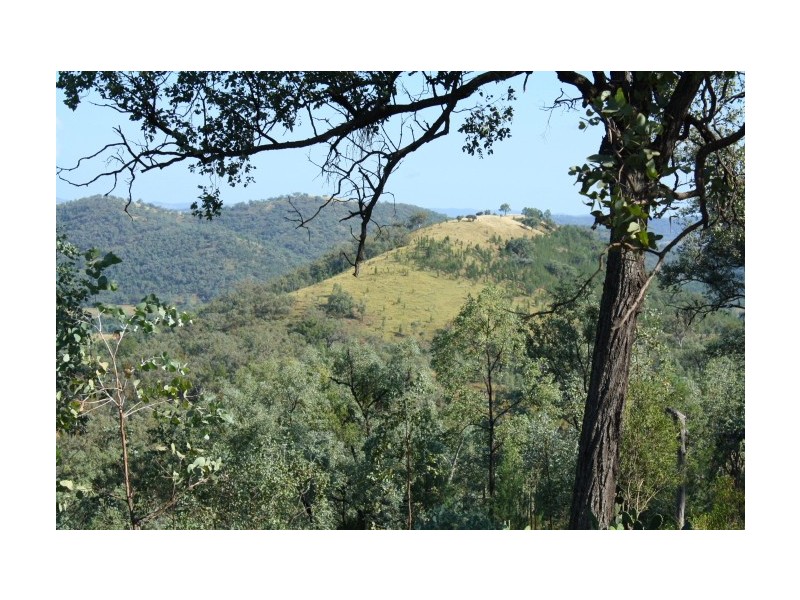 Tenterfield NSW 2372