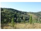 Tenterfield NSW 2372