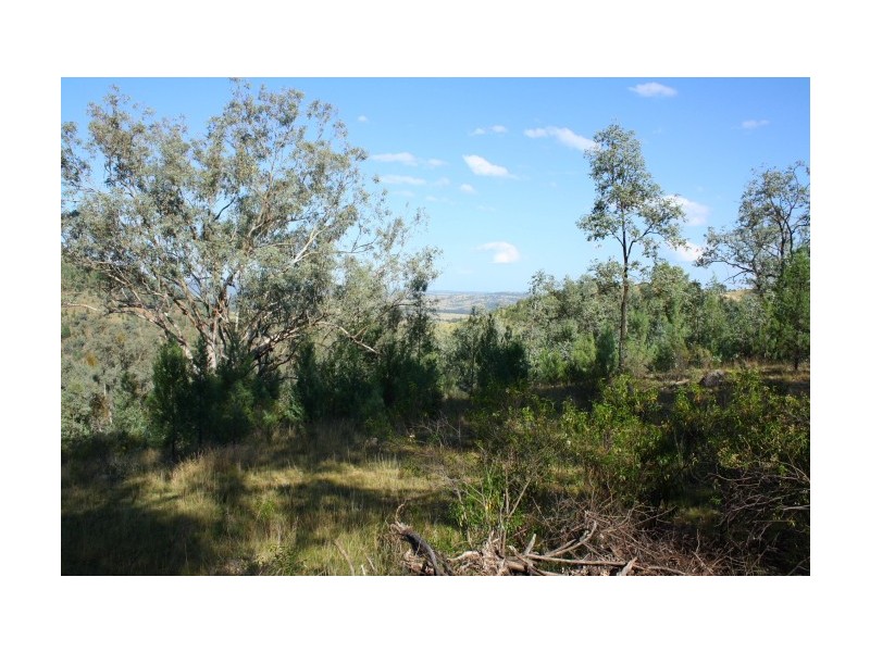 Tenterfield NSW 2372