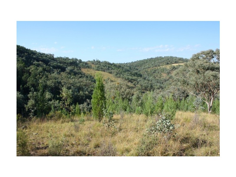 Tenterfield NSW 2372