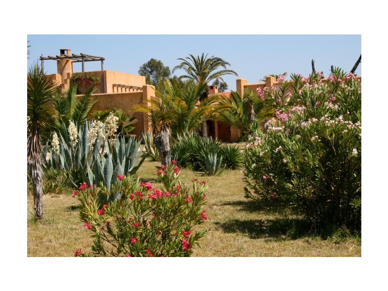 Tenterfield NSW 2372