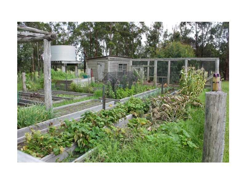 Tenterfield NSW 2372