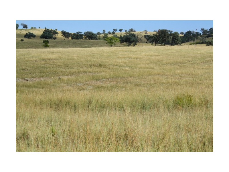 Tenterfield NSW 2372