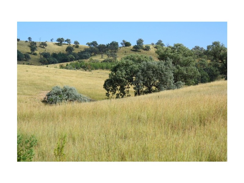 Tenterfield NSW 2372