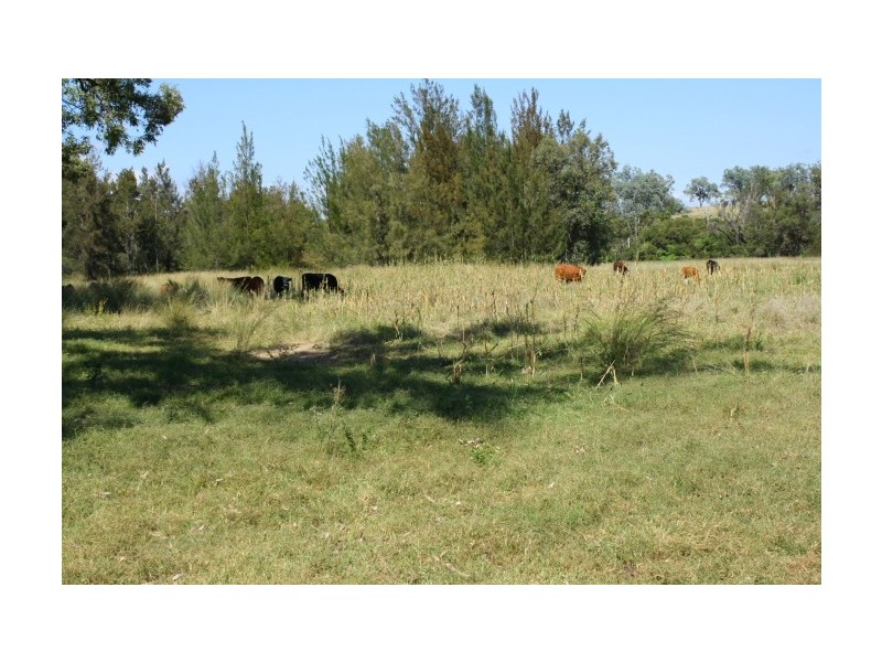 Tenterfield NSW 2372