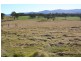 Tenterfield NSW 2372