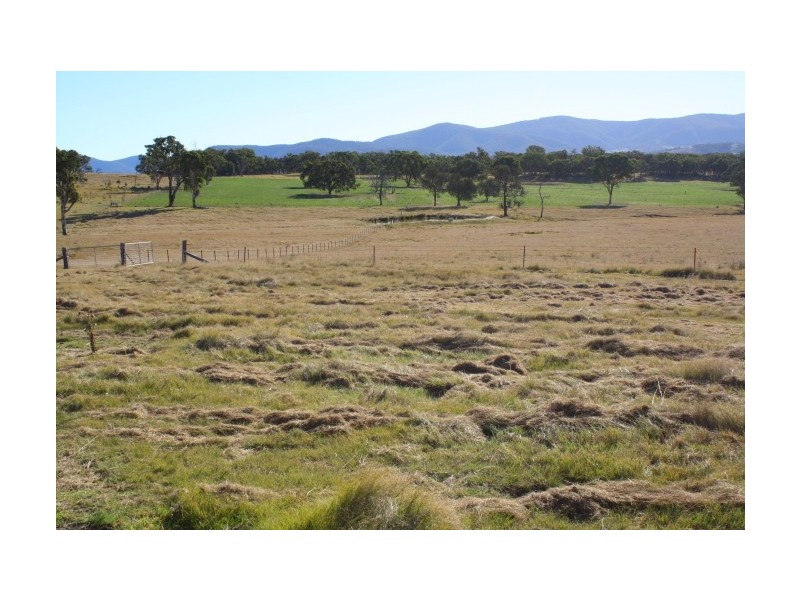 Tenterfield NSW 2372