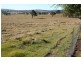 Tenterfield NSW 2372