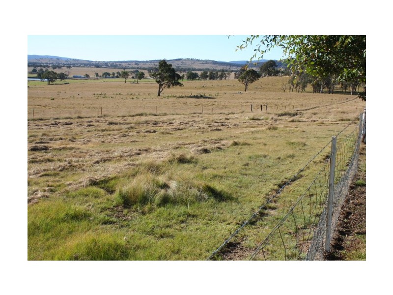 Tenterfield NSW 2372