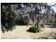 Tenterfield NSW 2372