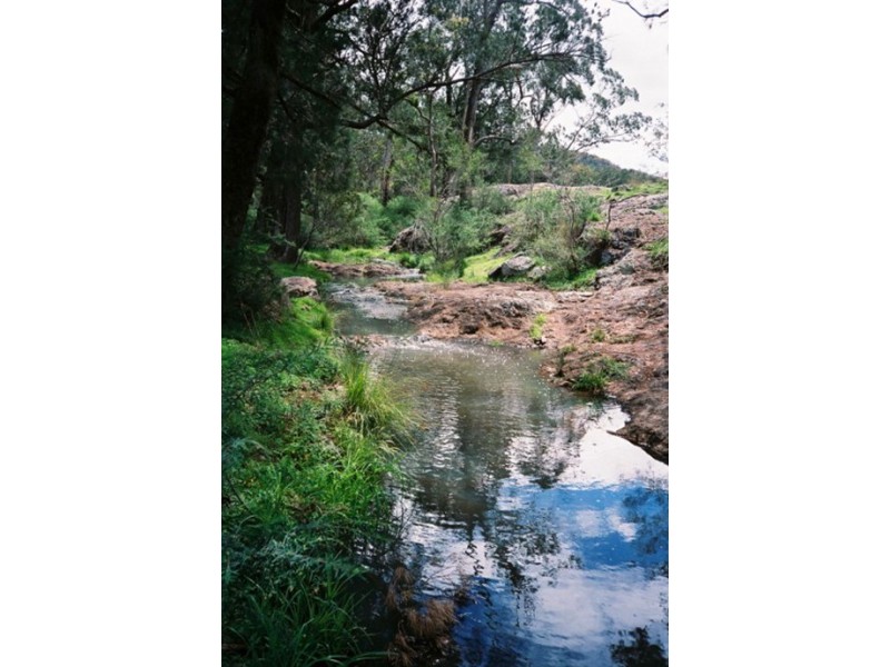 Tenterfield NSW 2372