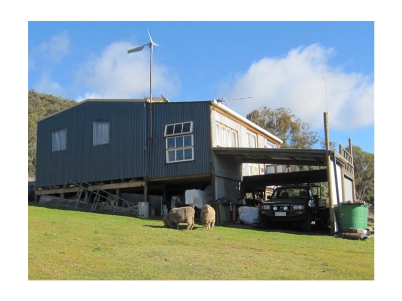 Tenterfield NSW 2372