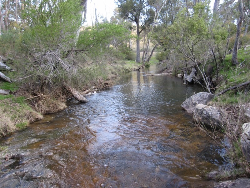 Tenterfield NSW 2372