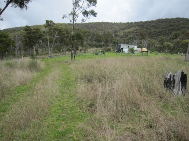 Tenterfield NSW 2372
