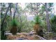 Tenterfield NSW 2372