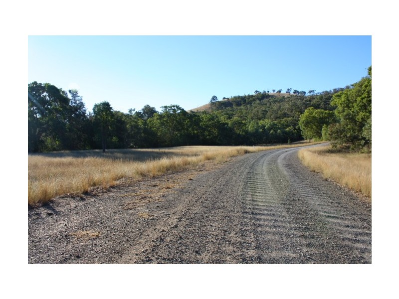Tenterfield NSW 2372