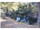 Tenterfield NSW 2372