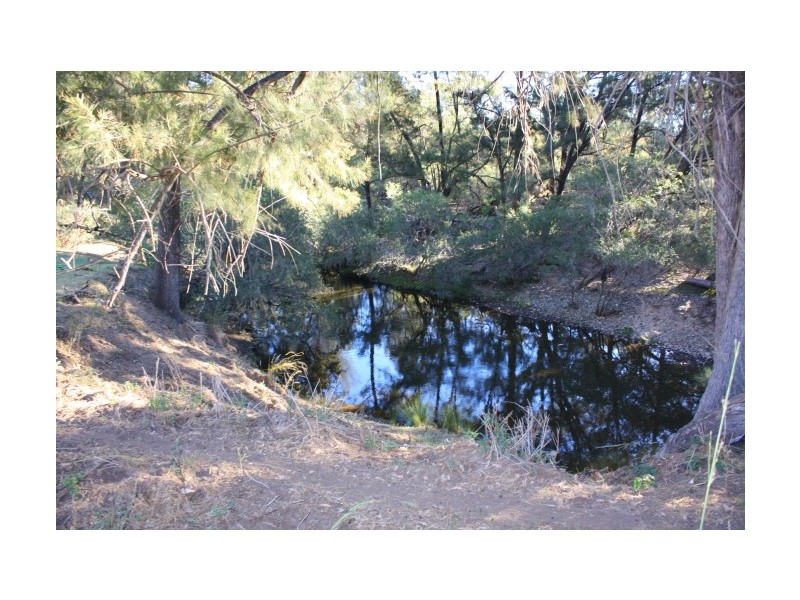 Tenterfield NSW 2372