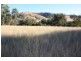 Tenterfield NSW 2372