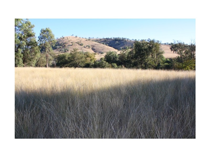 Tenterfield NSW 2372