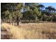Tenterfield NSW 2372