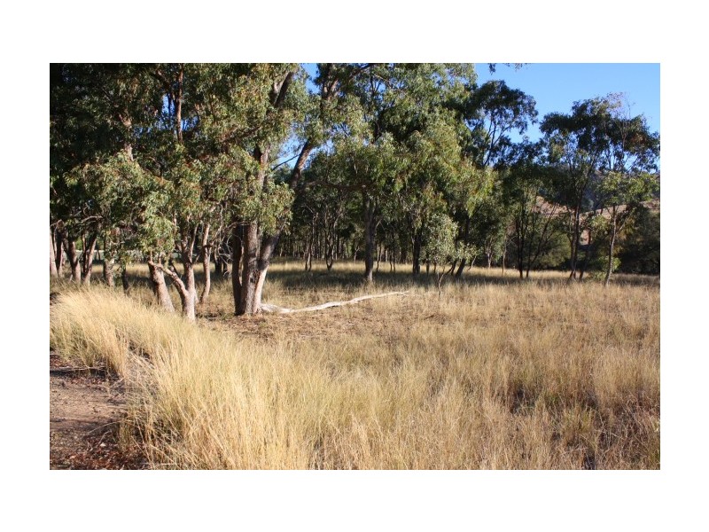 Tenterfield NSW 2372