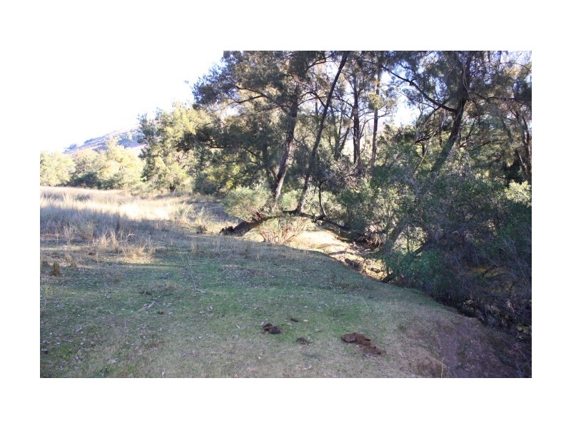 Tenterfield NSW 2372