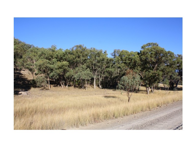 Tenterfield NSW 2372