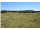 Tenterfield NSW 2372