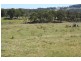 Tenterfield NSW 2372