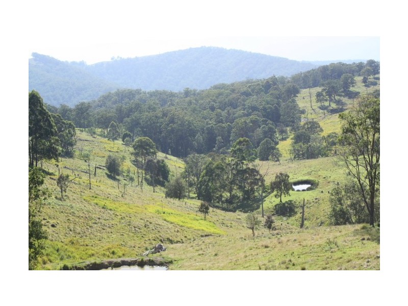 Tenterfield NSW 2372