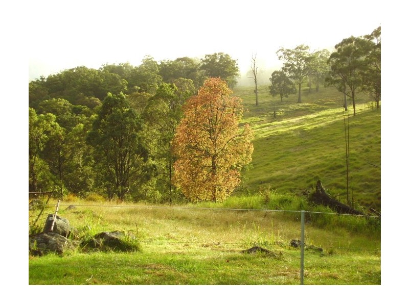 Tenterfield NSW 2372