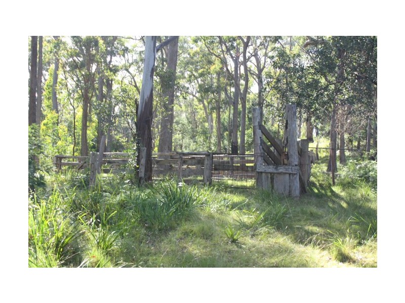 Tenterfield NSW 2372