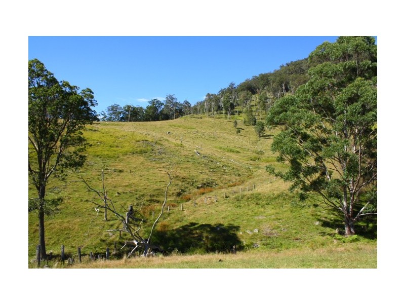 Tenterfield NSW 2372