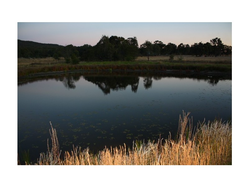 Wallangarra QLD 4383