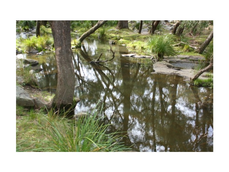 Tenterfield NSW 2372