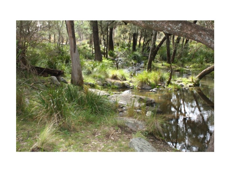 Tenterfield NSW 2372