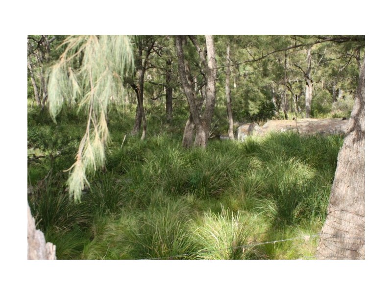 Tenterfield NSW 2372