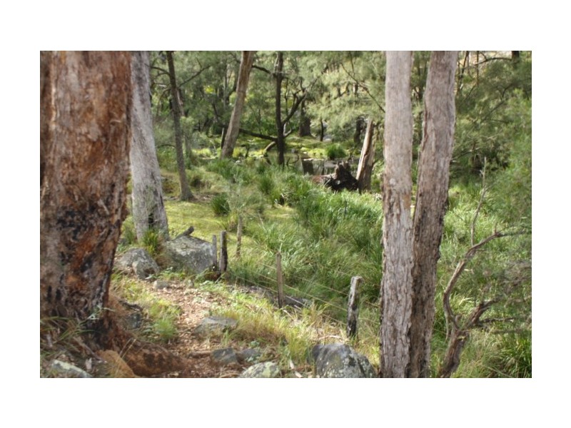 Tenterfield NSW 2372