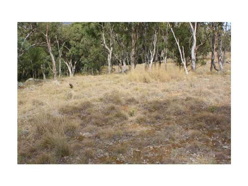 Tenterfield NSW 2372