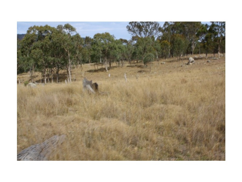 Tenterfield NSW 2372