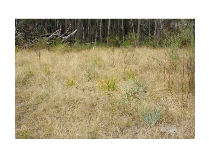 Tenterfield NSW 2372