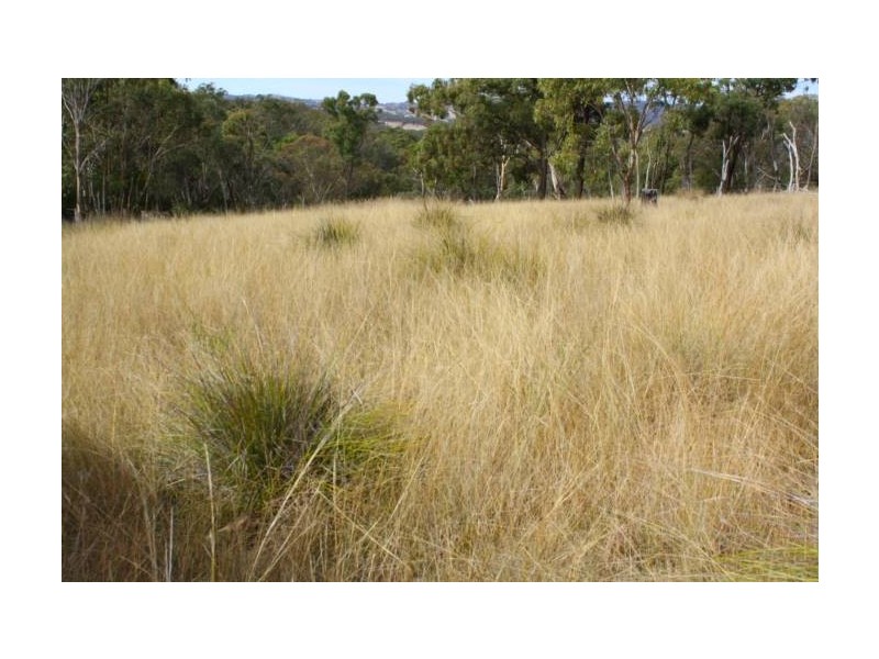 Tenterfield NSW 2372