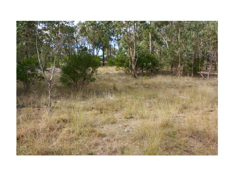 Tenterfield NSW 2372