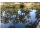 Tenterfield NSW 2372