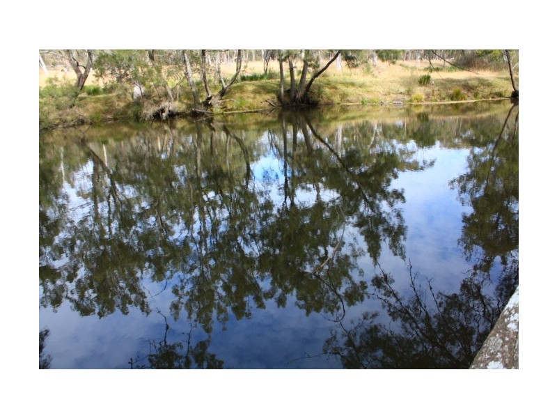 Tenterfield NSW 2372