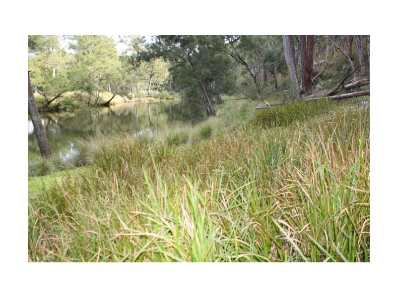 Tenterfield NSW 2372